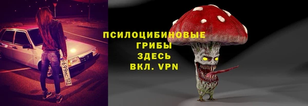 гашиш Богданович