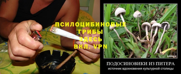 гашиш Богданович
