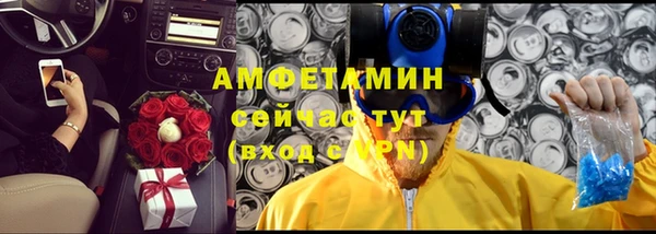 гашиш Богданович