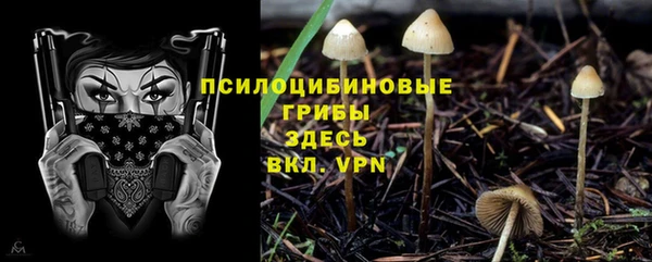 крисы Богородск