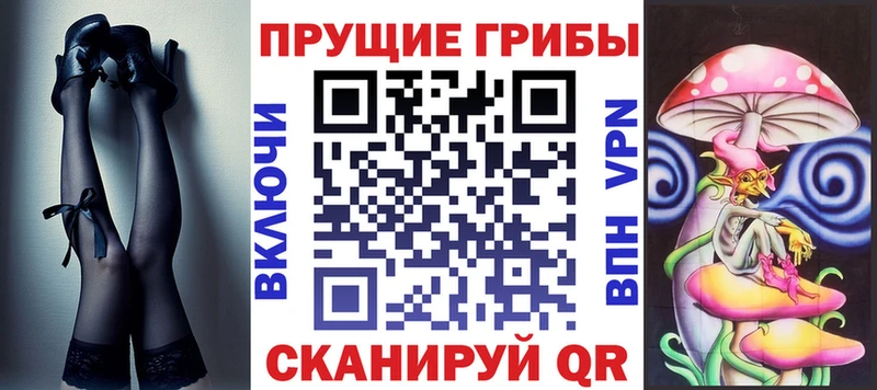 где продают наркотики  Ачхой-Мартан  Галлюциногенные грибы MAGIC MUSHROOMS 